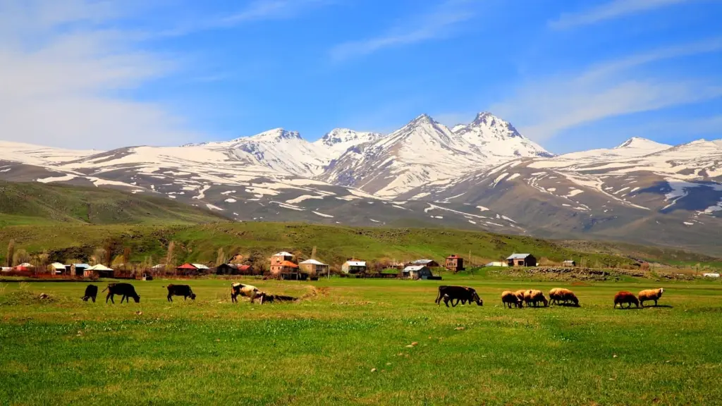 Trekking Aragats.webp