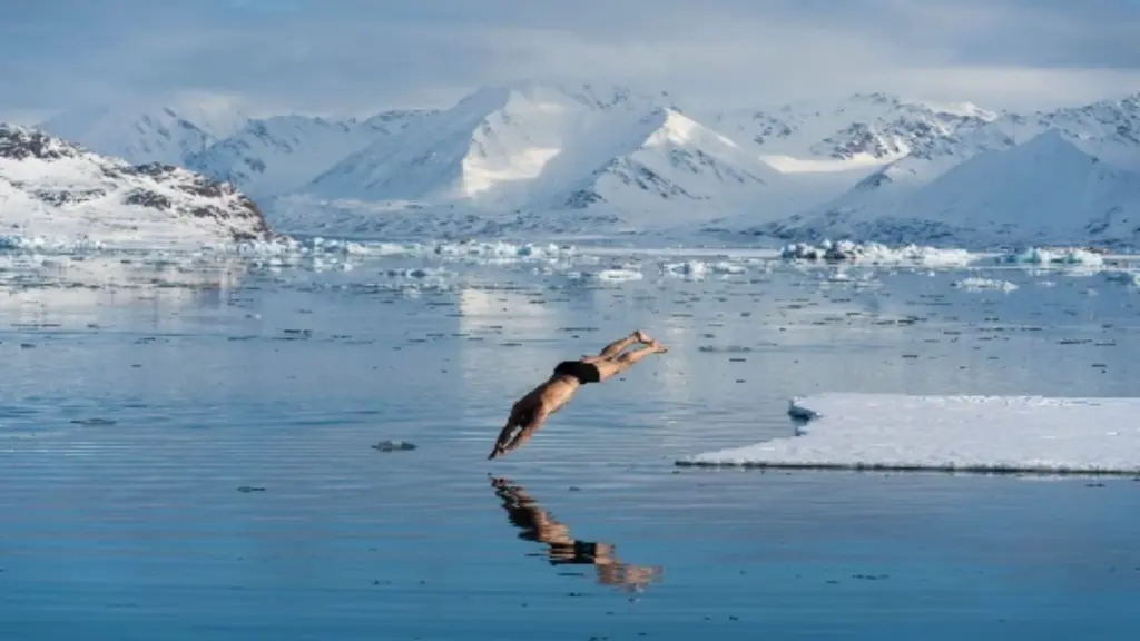 svalbard bathing in an iceberg.webp