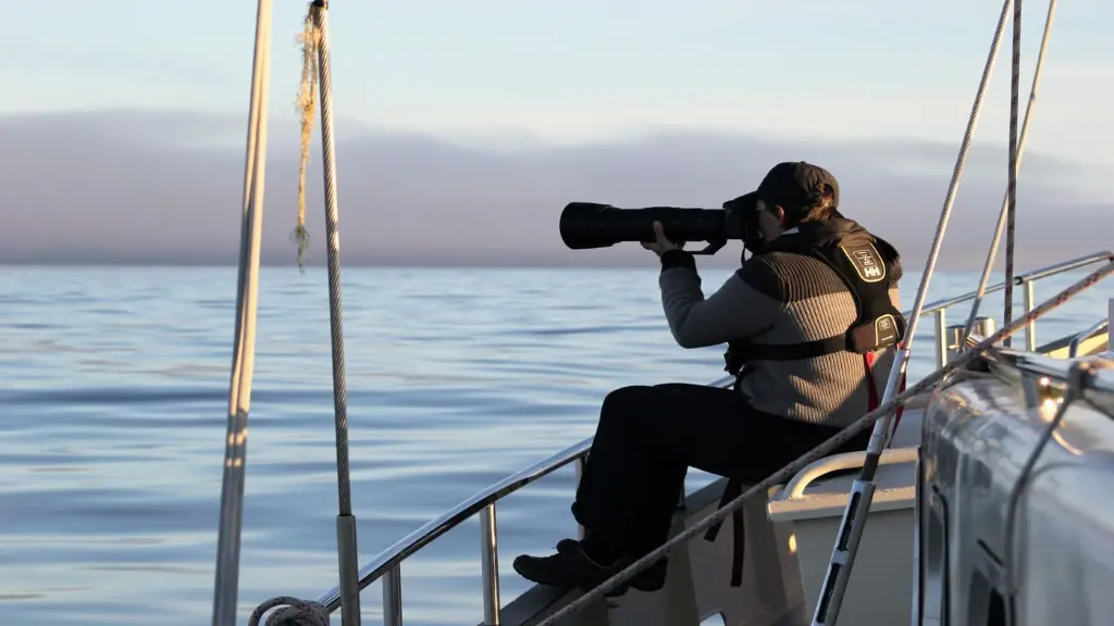 Greenland Sailing Trip Photography.webp