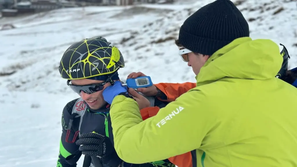Skimo takes sugar.webp