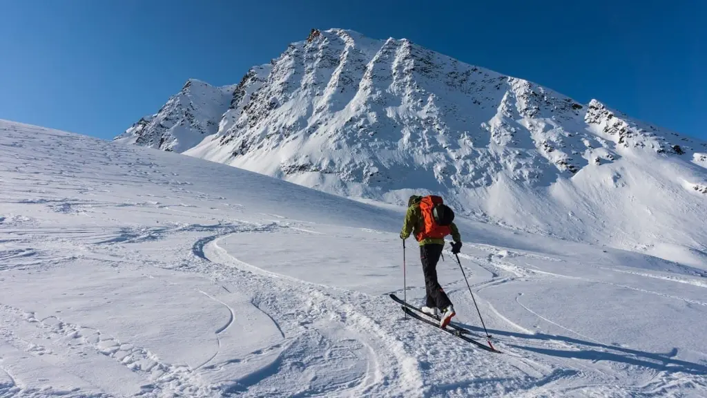 SVALBARD FREERIDE in the north.webp