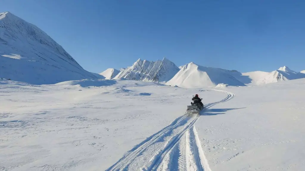 sowmobile SVALBARD FREERIDE.webp