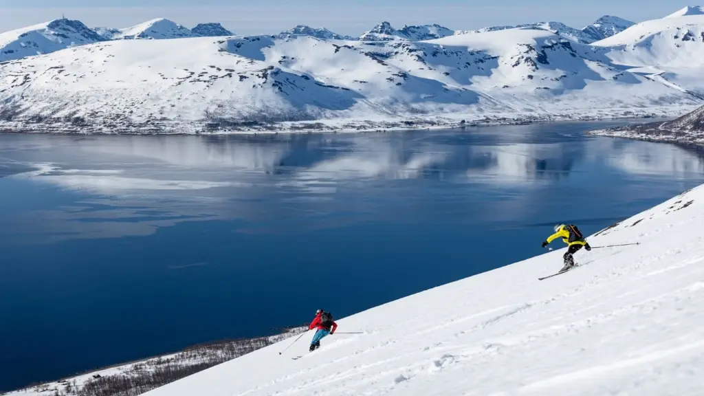 ski Lofoten.webp