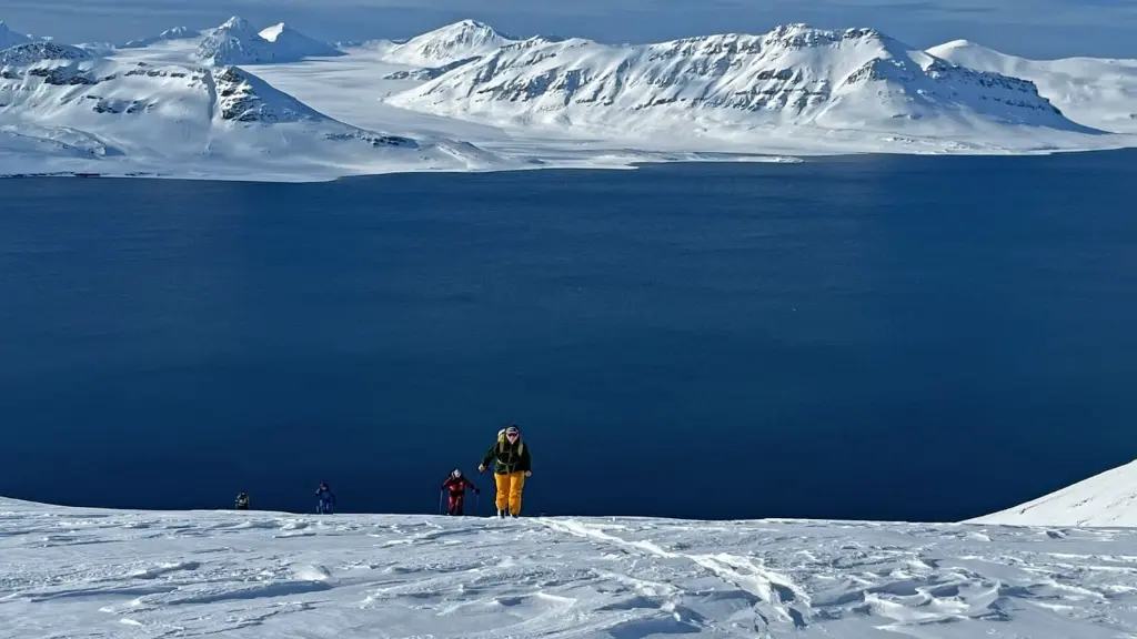 ski sail svalbard may.webp