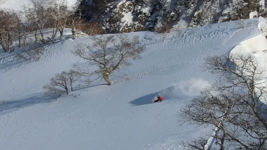 Japow.webp