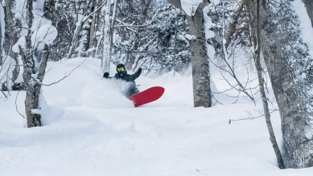 Snowboard Japan.webp