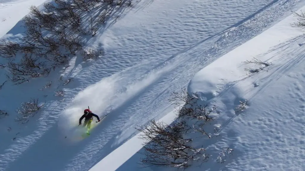Freeride Japon.webp