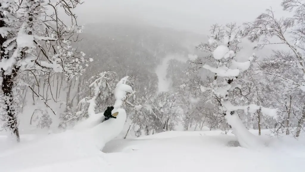 Hokkaido Snow.webp