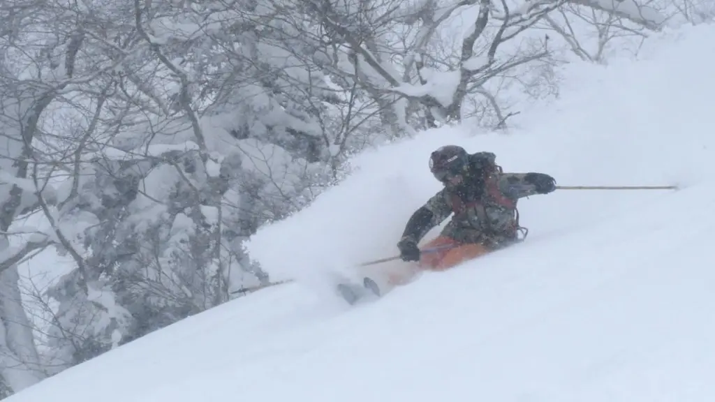 Skiing The Best Powder.webp
