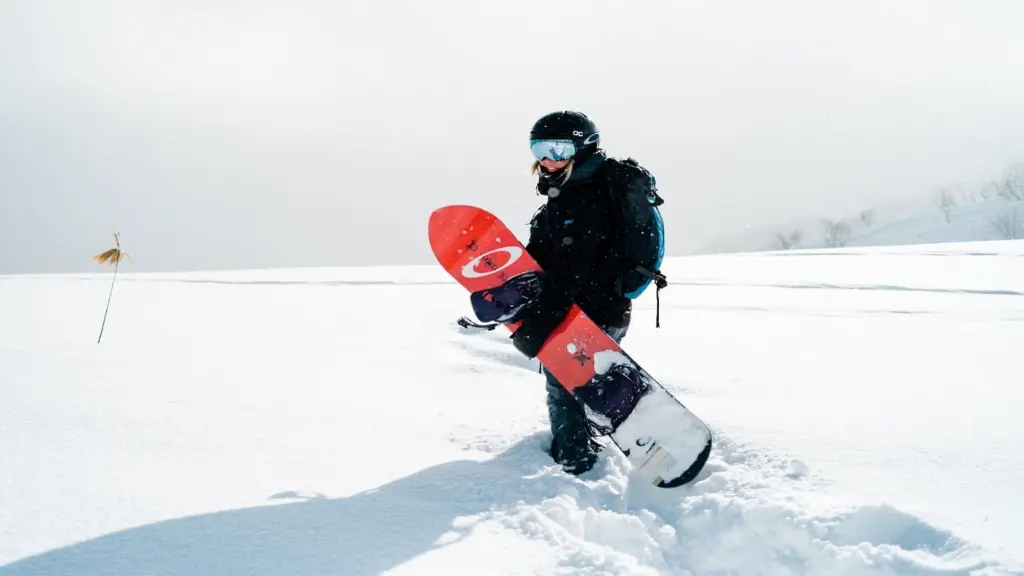SNOW JAPOW.webp