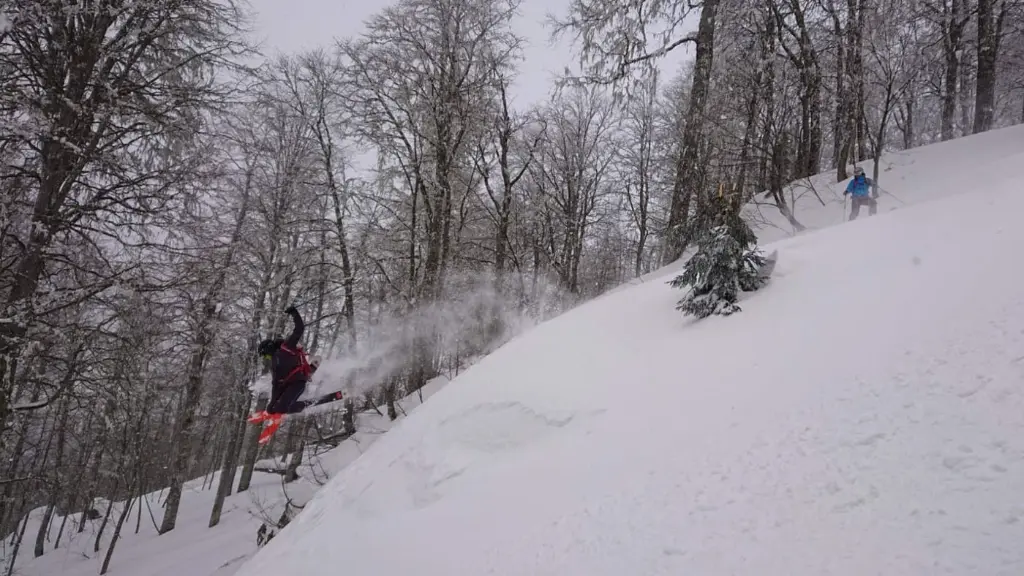 Georgia Powder.webp
