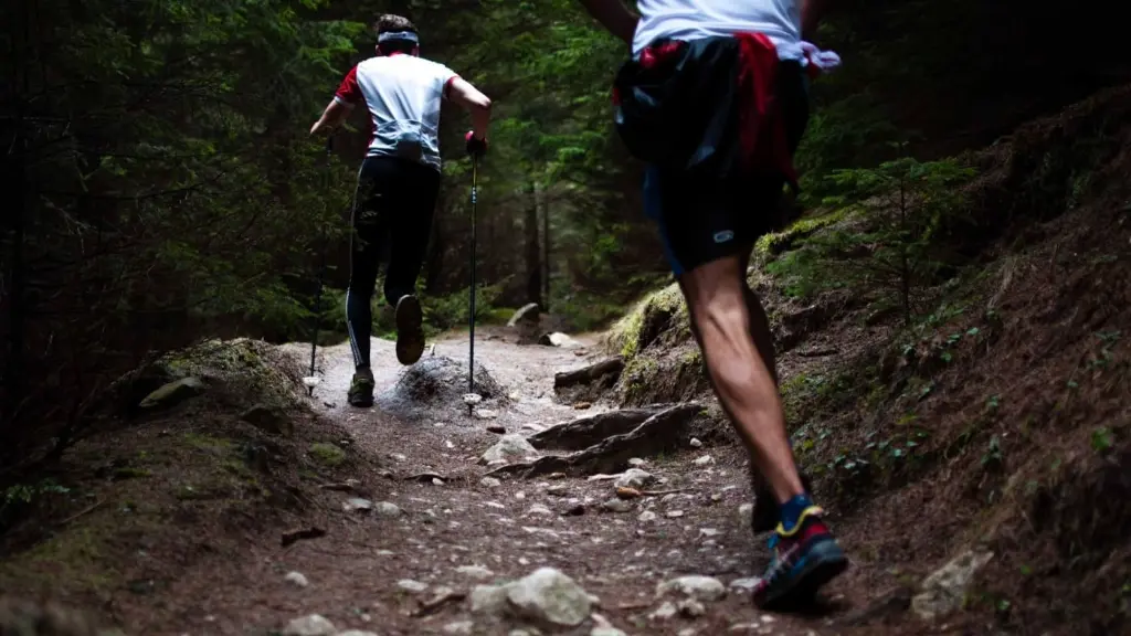 TMB trail running.webp