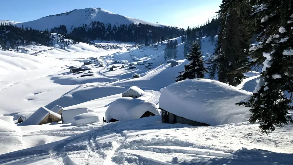 Georgia Ski Powder.webp