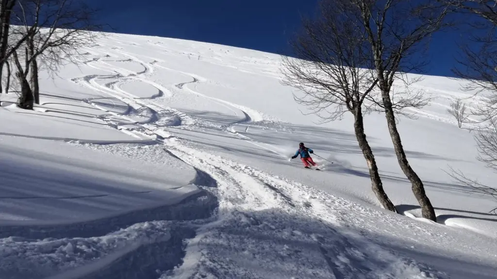 Georgia Snowcat.webp