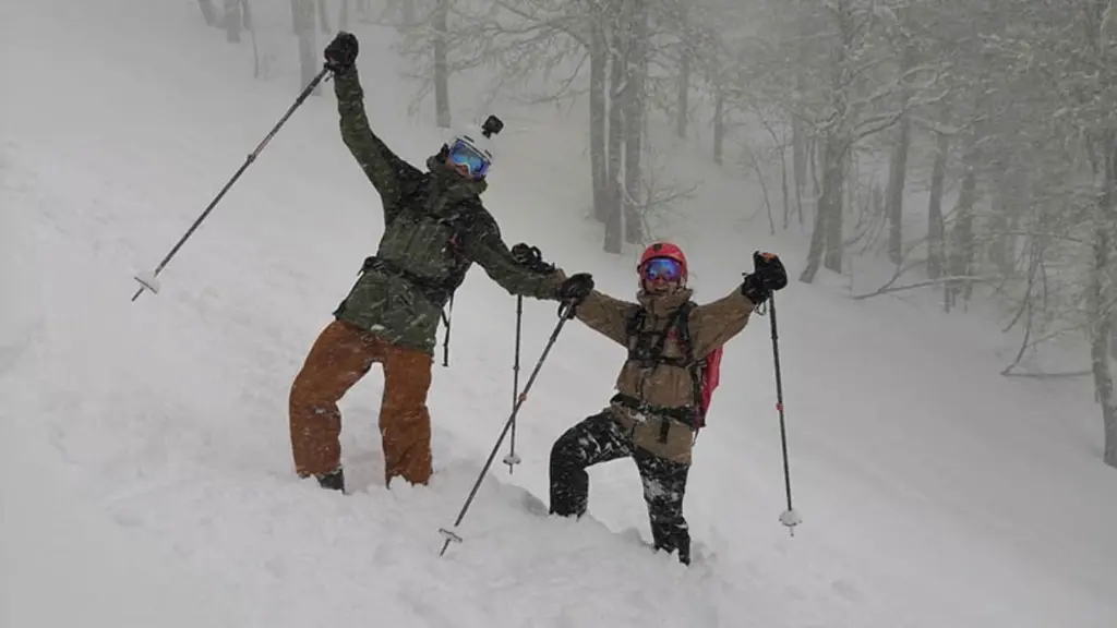 Powder skiing.webp