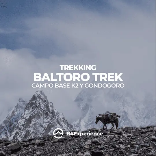 K2 CAMPO BASE & GONDOGORO TREK