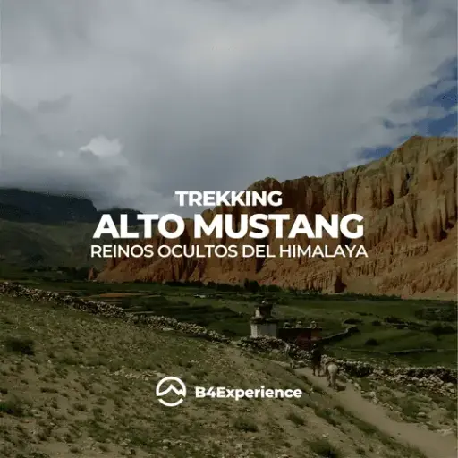 TREKKING ALTO MUSTANG