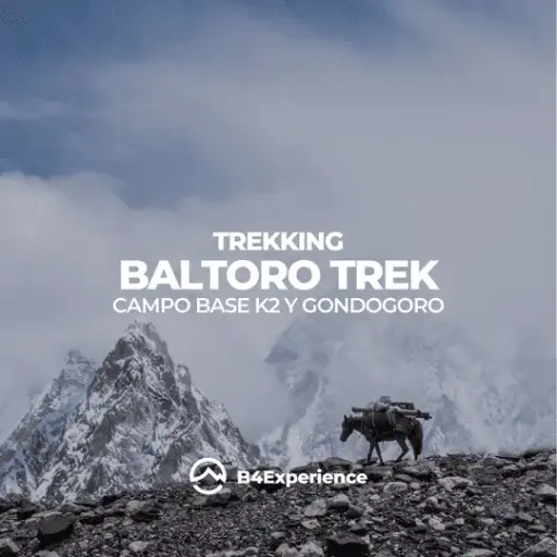 K2 CAMP BASE & GONDOGORO TREK