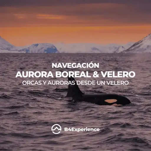 AURORES BOREALS EN UN VELER